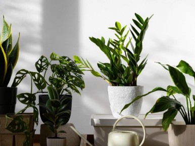 ��� �������� ������� �������� �������������: ������� ������� �����