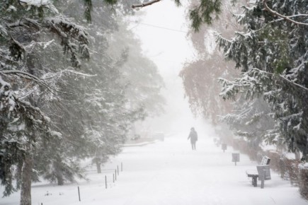 �������� �������� ������ � ������������� �������