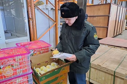 ������������ ������: ���� � �������� ������� �� �����