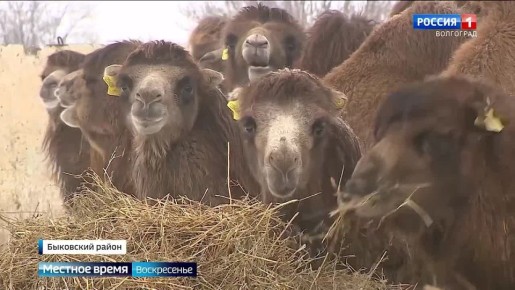 �������� ������� ��������� �� ���������� � ������������� �������!