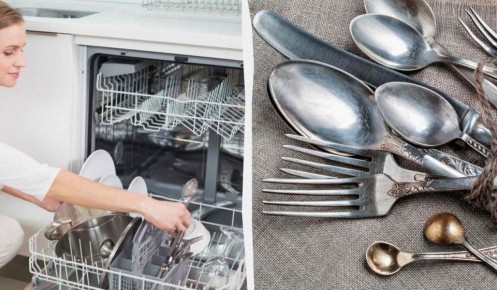 ����������� �� ����: 10 ���������, ������� ����� ���� �������