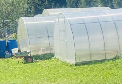 ������� �� ������ �������: ��� �������, ���������� � ����������� ��������� ������