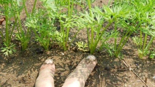 ������� �������� ������� �������: ��� ����� ����� ��� ����� ������� ������