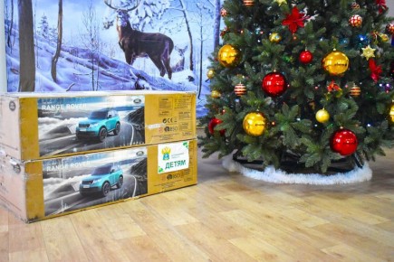 ������������� ������������� � ������ � �������-�����