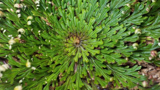 ������� ����� �� ������������: ��� ������� �� ��������� ��������� ��� ������ ����