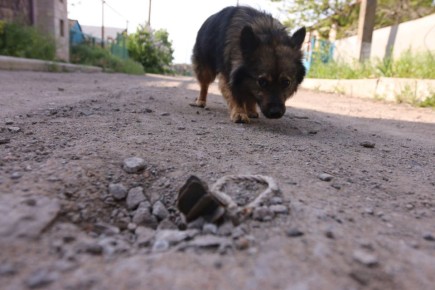 ������������� ��������� �������� ��������� ��������� ��� �������� ��������