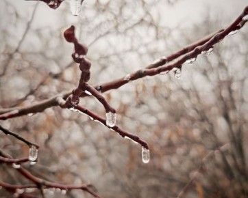 ������� � �������� � �� ���� ������-��������� ����� ������������� �������