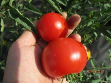 ����� ������������� ������: ���� ������ ����� ��� � ������ ����