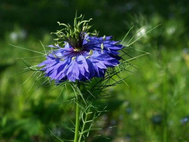 �������: ������ ����, ������� ����� ���������� ���� � �������� �������