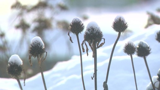 ������ �������� � �������� � ������������� �������