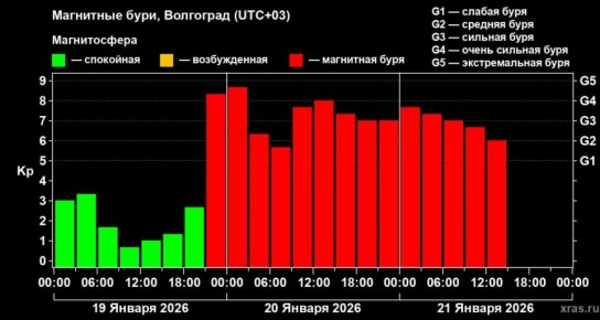 ���������� ��������� ���� ���������� �� ����� ������ ���� ������