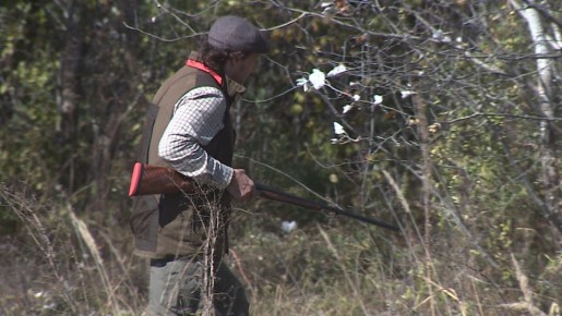 ����� ������ �������� ����� � ������������� ������� ��������� �������� �� ������ � 2026 ����