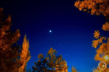 ������� ������� - ������ �������� ���