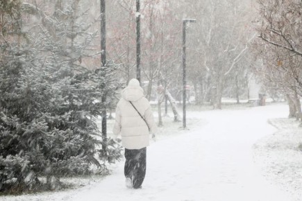 ������� � 11:00 � ���������� �������� ��������