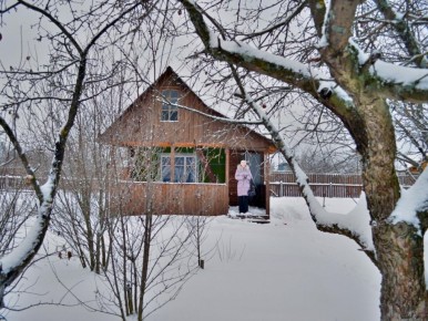 Как сохранить сад в зимний период: эффективные советы для садоводов