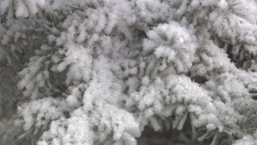 � ���������� ��-�� �������� ������� ���� ����� �������� ��������� �������� � ���� �������