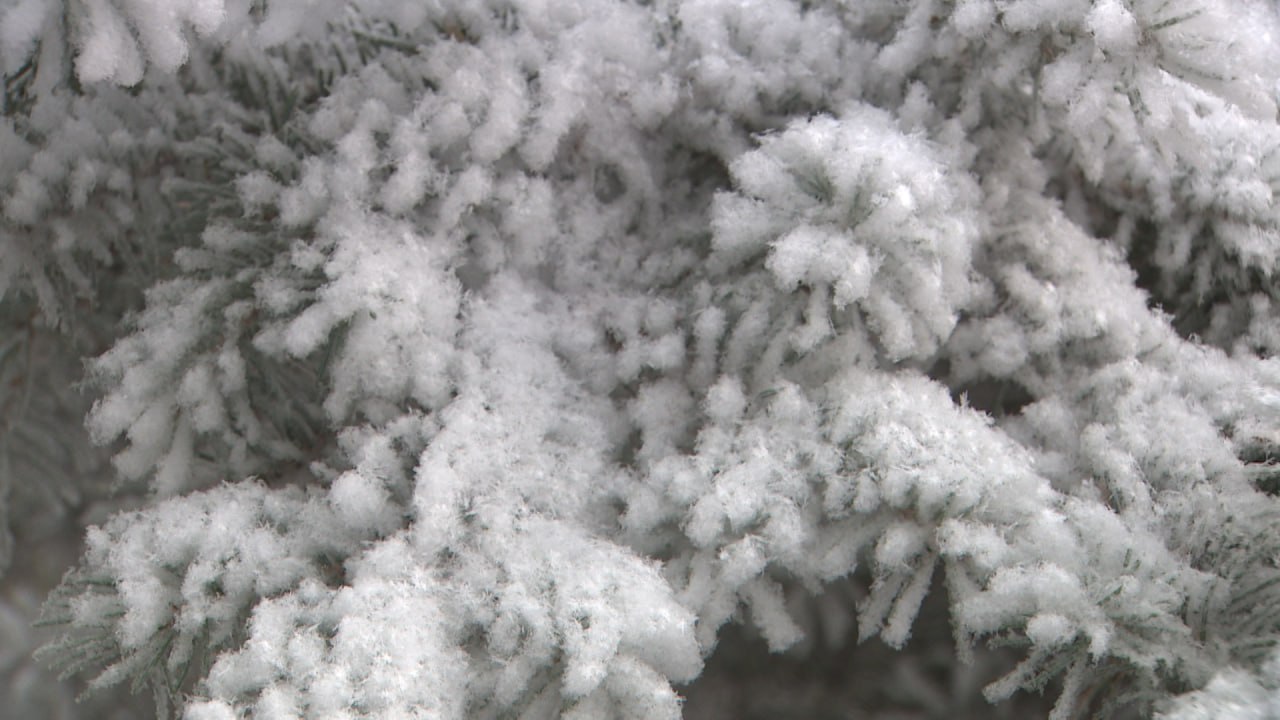 В Волгограде из-за особенно снежной зимы хотят отметить необычный праздник – День сугроба