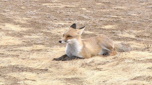 � ������������� ������� �������� ������� 25 �������, ����� � ������, ������� �������� �������