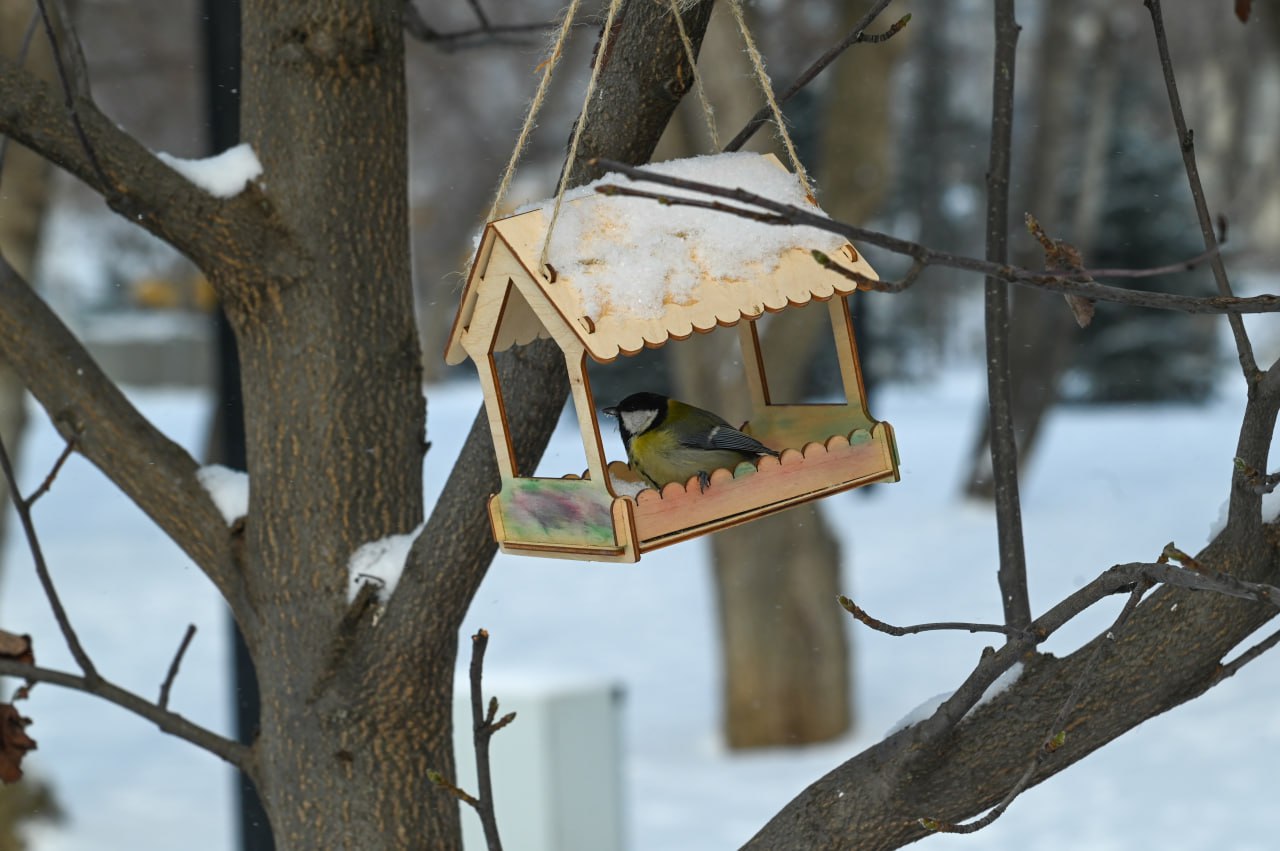 Продолжаем наслаждаться зимней погодой, лопату далеко не убираем! Продолжаем наслаждаться зимней погодой, лопату далеко не убираем!