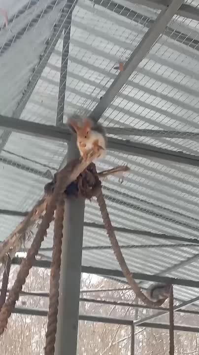 ������� ������ � �����