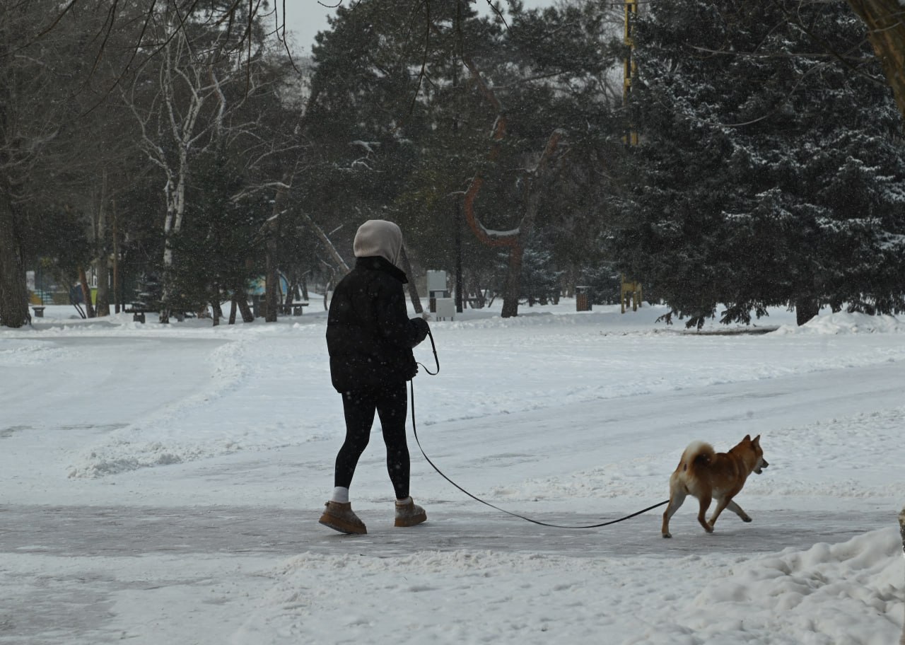 Продолжаем наслаждаться зимней погодой, лопату далеко не убираем! Продолжаем наслаждаться зимней погодой, лопату далеко не убираем!