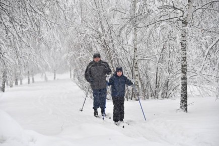 � ���������� � ������������� ���� �������� ������ ������� ���