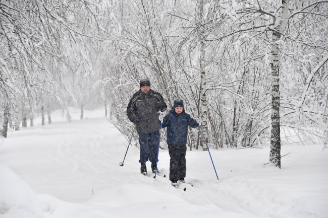 В Волгограде в Комсомольском саду открылся прокат беговых лыж