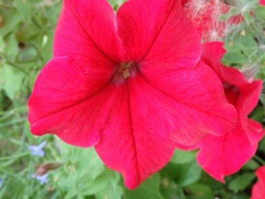 ��� ��������� ������������� ������� ��� ������� ��������