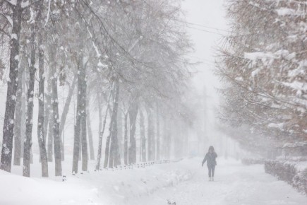 �������� ����� �������� ���� � ��������: ��������� ���������� � ����� �� �����