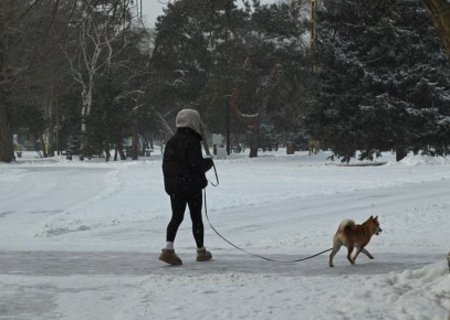 � ���������� ����� ��������� ������� ��������� �� +1