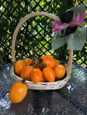 ������ �������� ������: ����� ����� � ������������ ������ ��� ������ ����