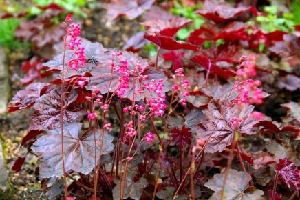 ������������ ������������ ������������ ��� ������ ����