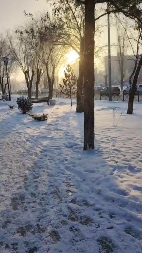 ���� ������� �������� �����