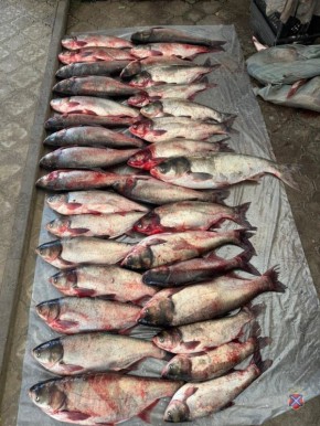 �������������� ������������ �� ����������� ������� ������ 1,7 ����� ���� ���������� 5 ��� ������