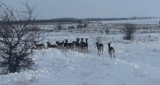 ������������� ������� ���������� 50 ����������� ����� � �������� ������