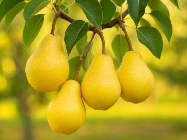 ����������� ����� ��� ����: ��������� ������ ��� ���������� � ������� ������