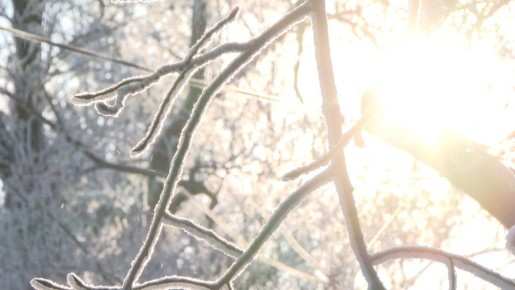 � ��� ����� ����������� � ��������� ���� � ���������� �� ������ ��������� ���������� ���������