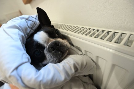 � ���������� � ������ ��� 2000 �������� ��-�� ������� �������� ���� � ������