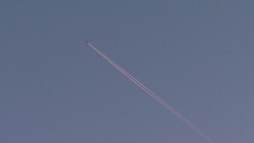 ��������� ����� �� ���������� � ������ �������������� � 24 ���