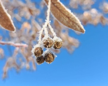 ��������� ������� ������ � ���: �� -30 �� +2 �� ���� �����