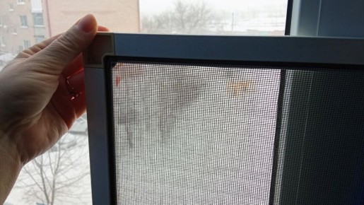 ����� ��������� ����� �� ����: ������� ������ ��� ���� �������� ������