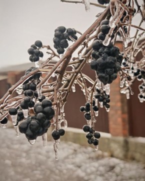 ��������� ��������������! ������������� ������� ������� ��� ������ ������