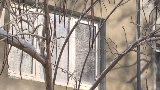 ������� ������������ � ������� ���������� ������������ ������� � 2025 ����