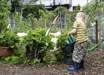 ��� ������� ��������� ������� ��� �������