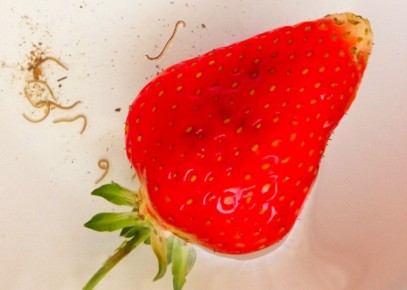 ��� ������� ���������? ��� ������ ����� ������ � ��� ������ ���������