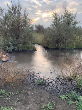 � ���������� �� ���� ����������� �������� ����������� ������������ ������������ ����� ����� �� ����� ����� 87 ��� ������