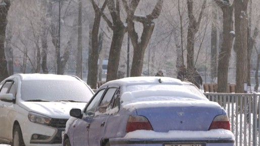 �������� � ������������� ������� ������� ����� ��� �� 20 % � 2025 ����