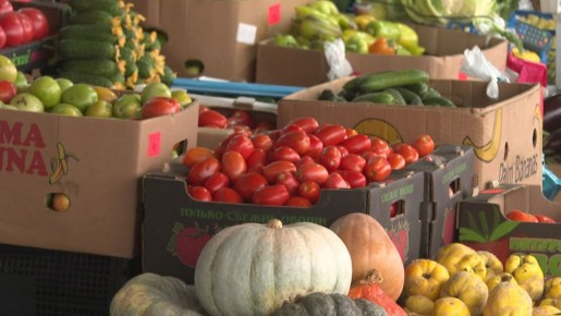 ����� ���������� �� ������ ��������� ������������� �������