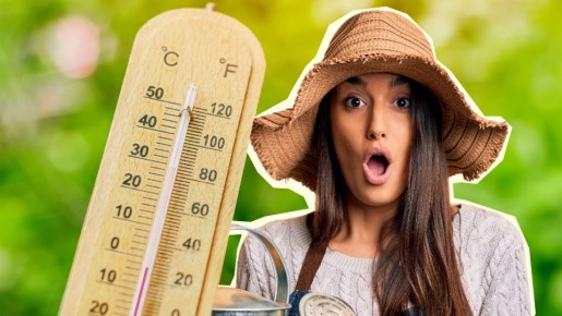 ������� ������� ����� ��������� ����������: ����� ������������ �������� � ���� ��� ���