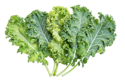 ������� ����: ������� ��������� � �� ������� �� ��������